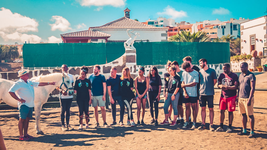 Horse Workshop