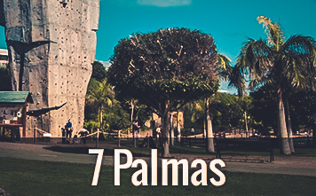 Climbing Walls Siete Palmas