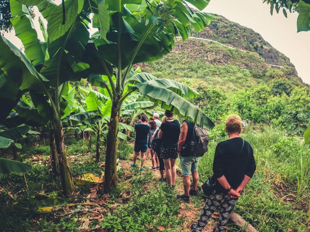 The Rainforest Tour by Climbo - Eco-farm