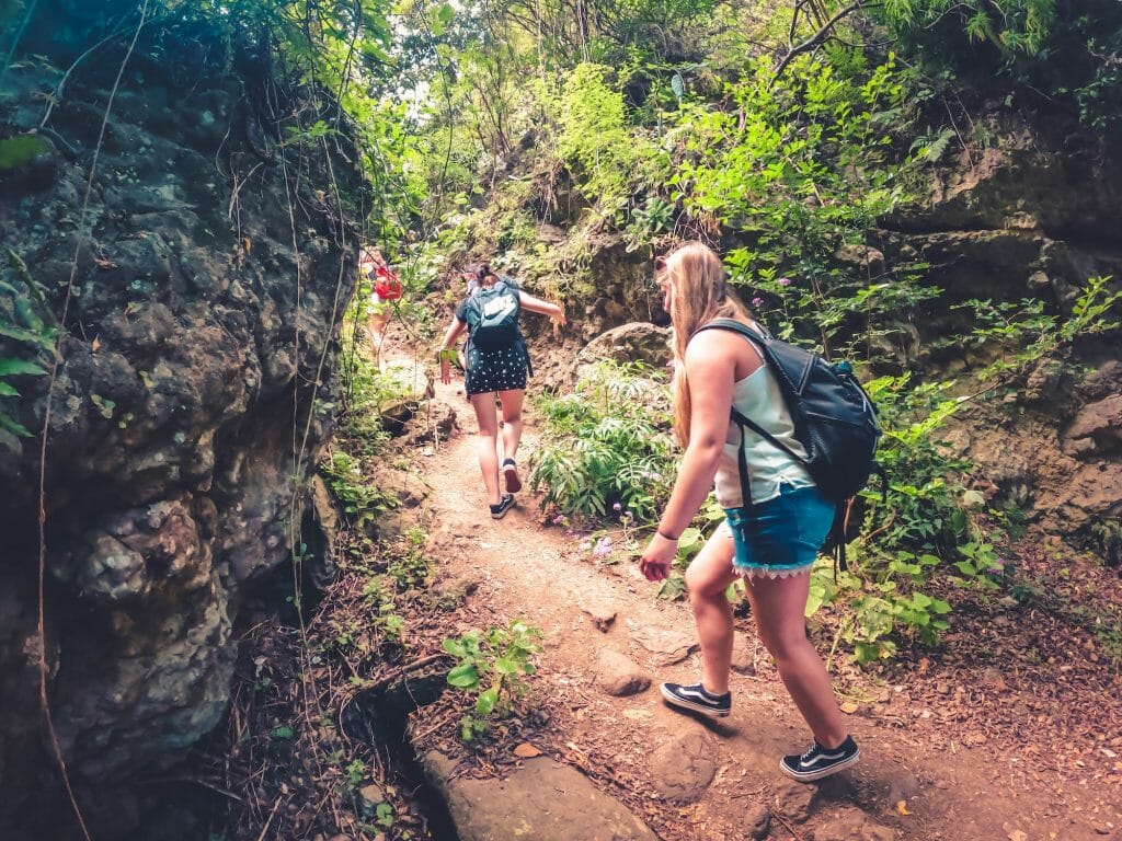 The Rainforest Tour by Climbo - Hiking